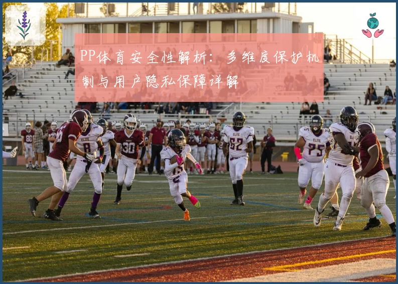 PP体育安全性解析：多维度保护机制与用户隐私保障详解