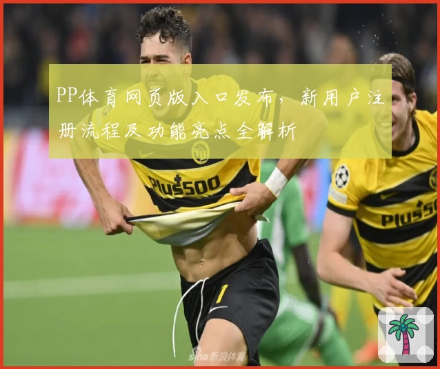 PP体育网页版入口发布，新用户注册流程及功能亮点全解析