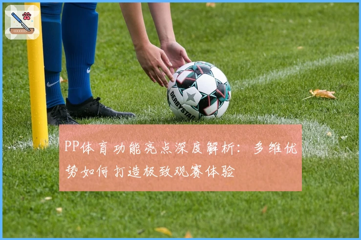 PP体育功能亮点深度解析：多维优势如何打造极致观赛体验