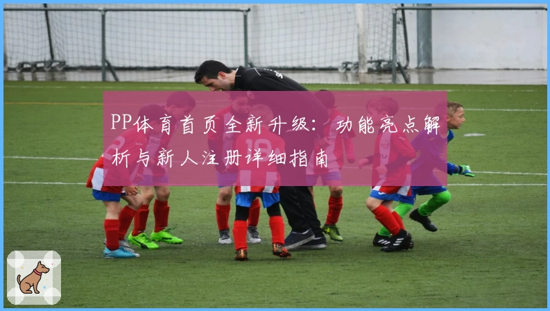 PP体育首页全新升级：功能亮点解析与新人注册详细指南