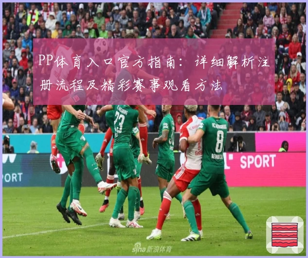 PP体育入口官方指南:详细解析注册流程及精彩赛事观看方法